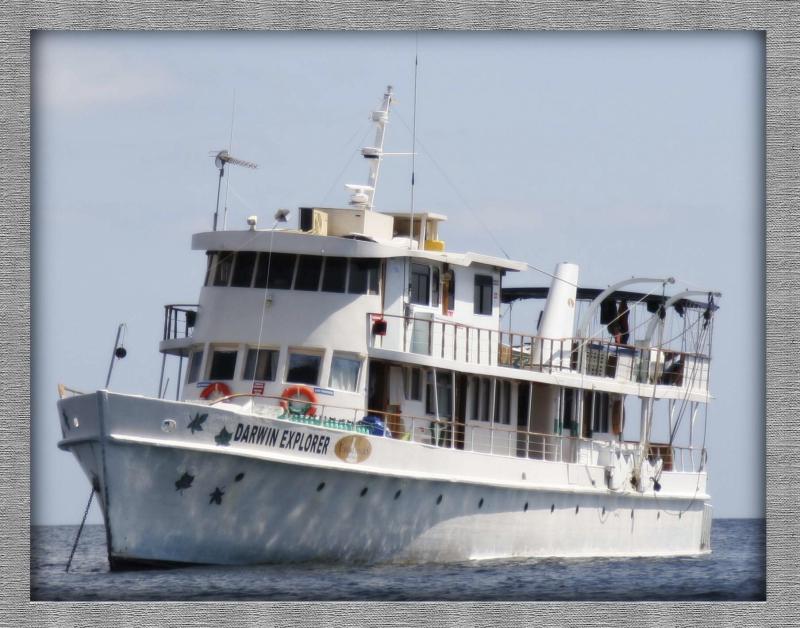 Darwin Explorer  Galapagos - Darwin Exp;orer ©2005 Martin Oretsky